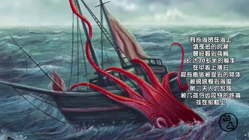 间:2018-11-13哥布林鲨章大王乌贼旗鱼与虎鲸0:01:52简 介:四部电影中