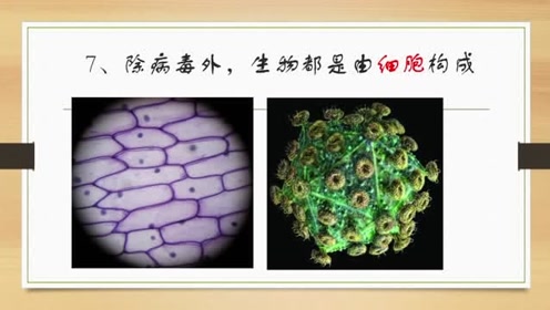苏科版七年级生物上册实验演示视频