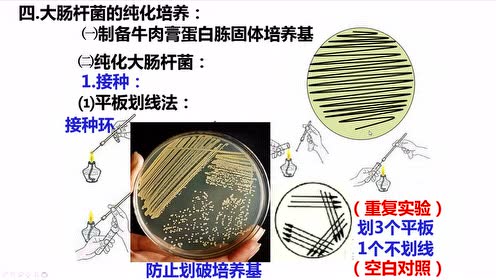 微生物培养技术 腾讯视频