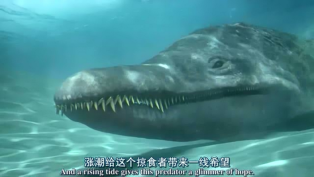 沧龙乘涨潮近浅水区抓蛇颈龙,但太灵活抓不住,恐龙史前时代