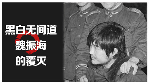 后来导演唐敬睿根据此事拍摄了十集电视剧《西安大追捕》,此片播出后
