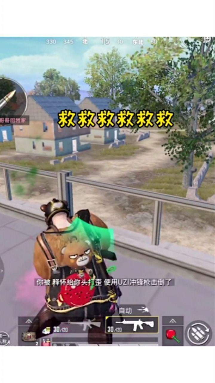 吃鸡:大佬,你怎么不救我呢?