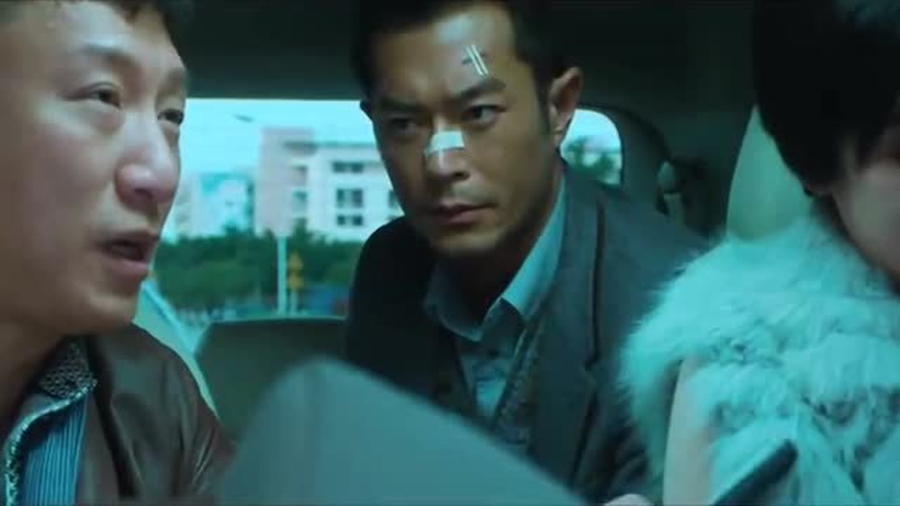 毒战(2012年杜琪峰执导的电影)_搜狗百科