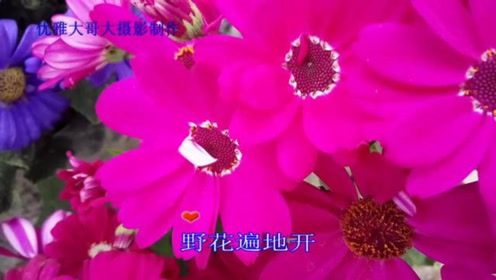 一生赞美 腾讯视频