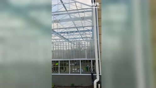 温室花房 腾讯视频