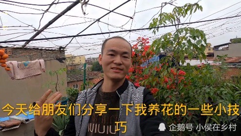 液肥应用 腾讯视频