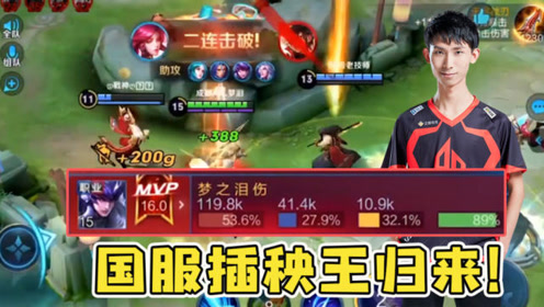 梦泪国服插秧王,一人打满53%输出