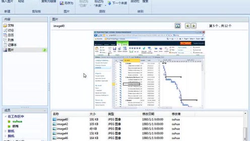 9_利用SharePoint Workspace进行图像共享