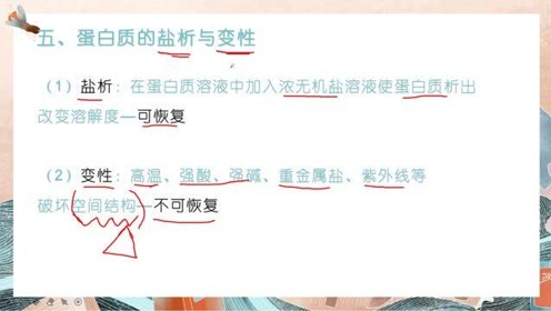 高中生物学必修一(第2章 组成细胞的分子)4 蛋白质是生命活动的主要承担者