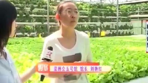 无土栽培模式 腾讯视频