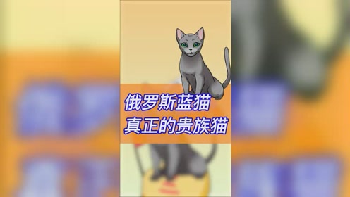 达芬奇 腾讯视频