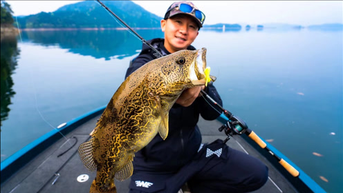 简 介:夏利俊分享冷冬的翘嘴作钓上传者:ewe路亚时 间:2019-01-07ewe