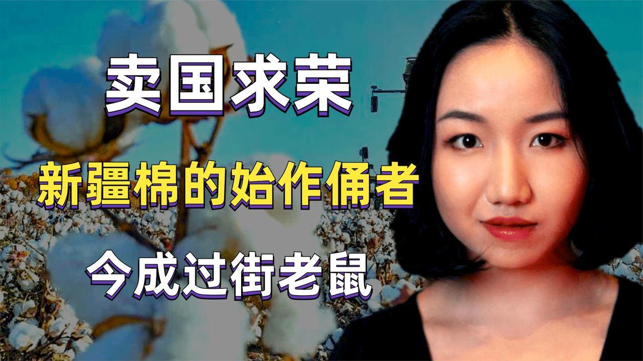 新疆棉"始作俑者"许秀中,抹黑祖国卖国求荣,如今下场如何?