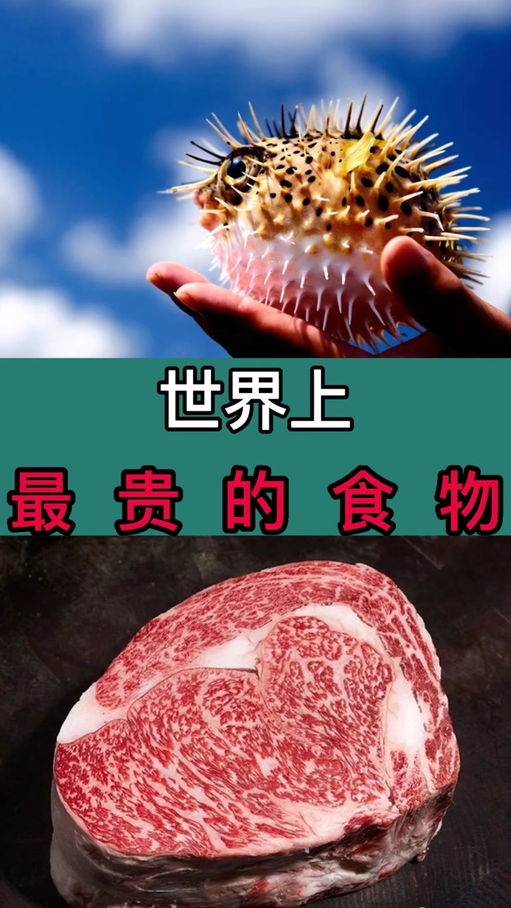 世界上最贵的食物