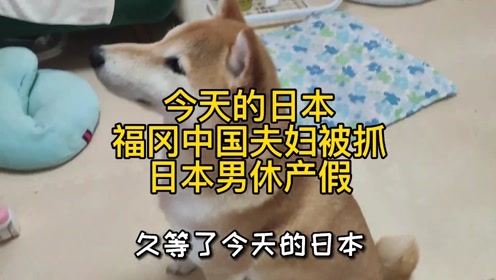 夏樹陽子 腾讯视频