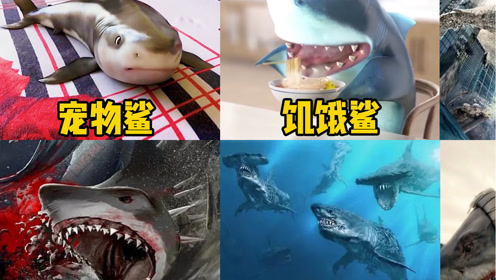 01:39简 介:一条人工制造章鱼与鲨鱼的结合体——八爪狂鲨,被人类饲养