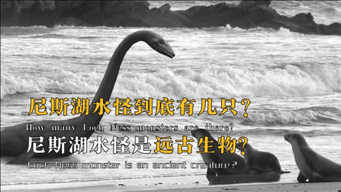 尼斯湖水怪究竟是何物种?传说是恐龙的后代,有照片视频为证!