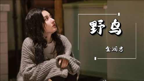 乔家的儿女里那首bgm《野鸟》有多少人听过,满满的旧日味道!