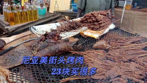 尼日尔首都街头的烤肉真诱人,23块买的很多肚包肉,三个人吃不完