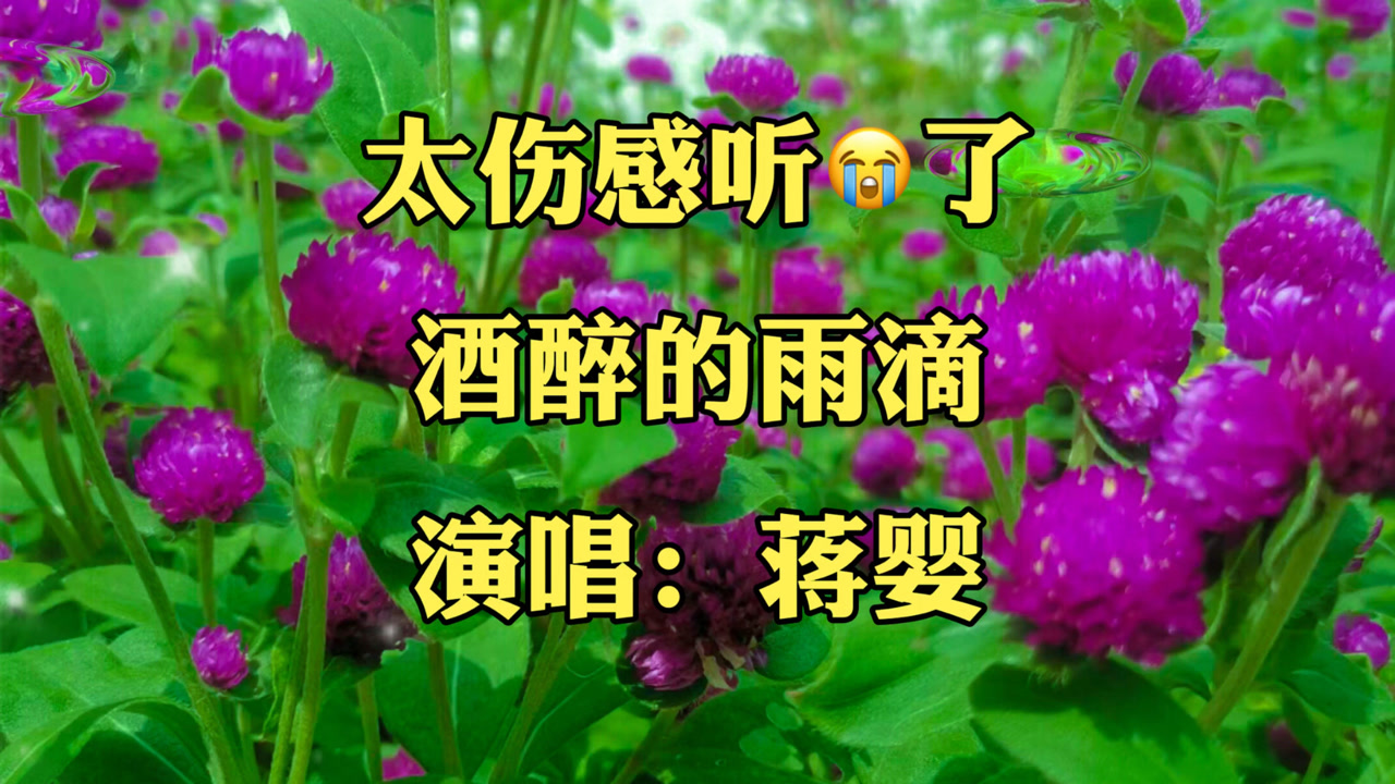 蒋婴的一首《酒醉的雨滴》伤感好听听哭了,感谢大家的支持和聆听.