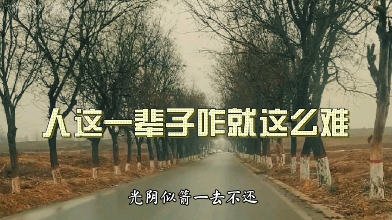 一辈子为啥这么难ktv版