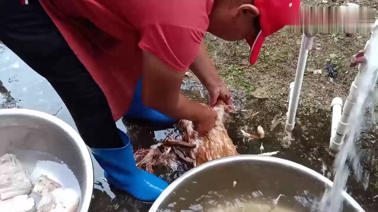 农村酒席女大厨,现场杀鸡拔毛就是快,这技术你看牛不牛