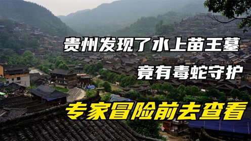 贵州发现了水上苗王墓,竟有毒蛇守护,专家冒险前去查看