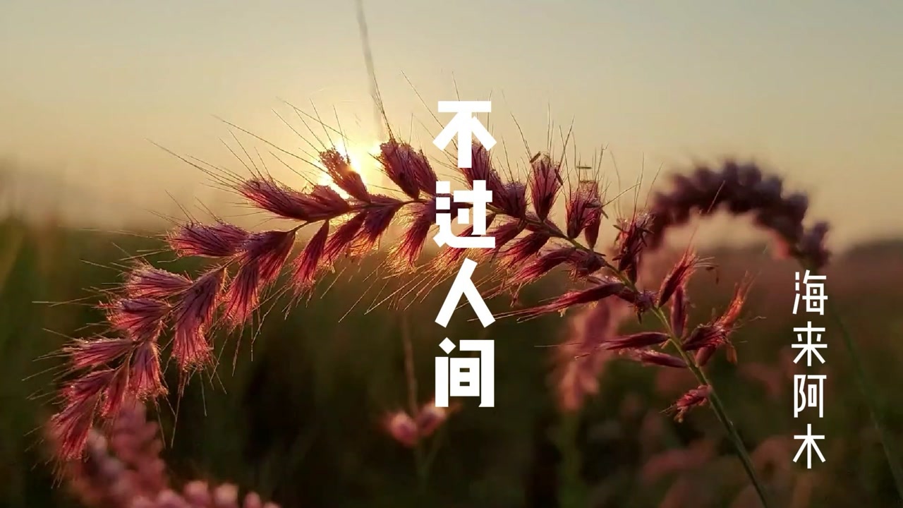 海来阿木的一首《不过人间》,听着听着就哭了,歌词太入心了