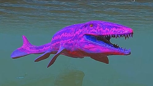 苍龙竟然生出了一只大鳄鱼,大鳄鱼却一口吃掉了它,这是什么操作