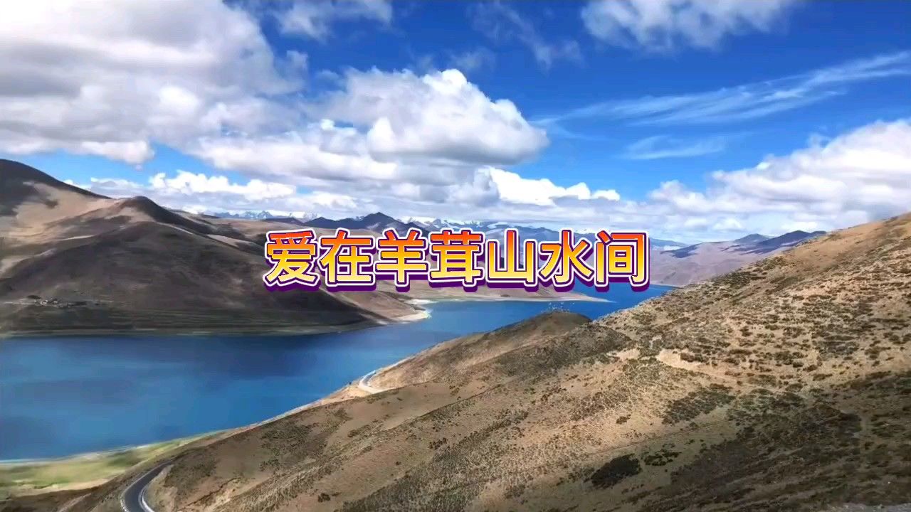 糖豆广场舞课堂爱在羊茸山水间优美大气藏族舞
