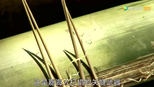 揭秘原始部落捕猎毒镖的制作过程 稍有不慎就会丧命