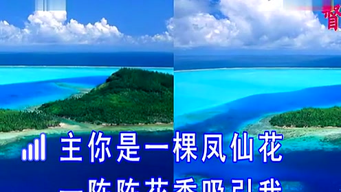 赞美诗-让我唱一首歌中雅歌