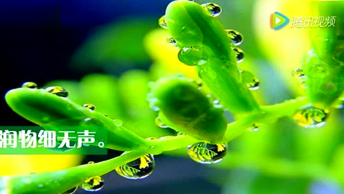 吉林长春版二年级语文下册
