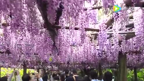 日本北九州旅游 腾讯视频
