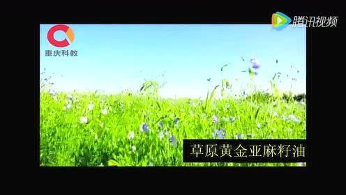 草原黄金亚麻籽油 腾讯视频