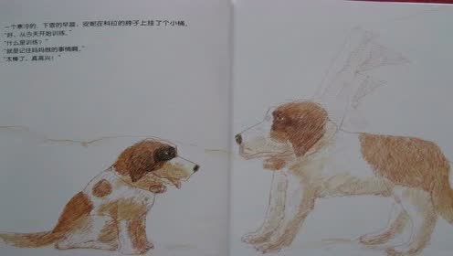 腾讯视频