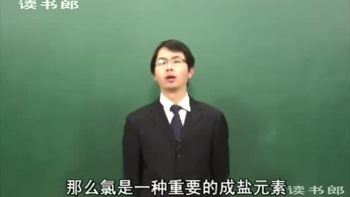 高中化学必修一第四章 非金属及其化合物 第2节 富集在海水中的元素——氯