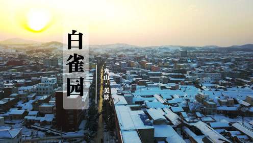 航拍白雀园2018年初雪放晴雪景