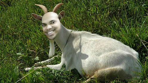 印度出现一头人脸山羊,不知父亲是羊是人