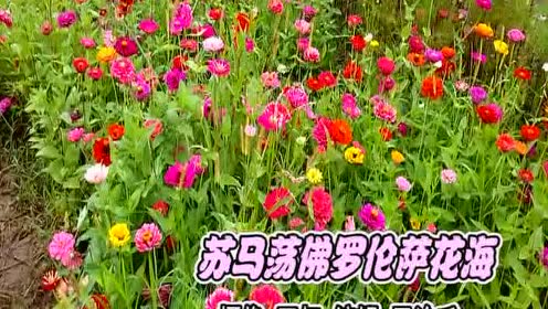 腾讯视频