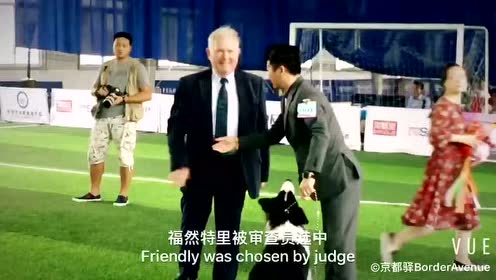 京都驿犬舍 腾讯视频