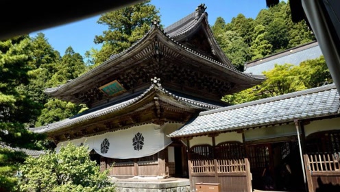 永平寺 腾讯视频
