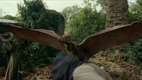 阿黛拉的非凡冒险:阿黛拉骑着翼手龙劫法场