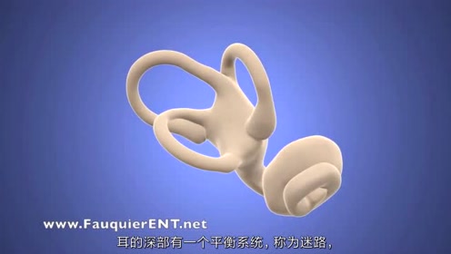 骨迷路 腾讯视频