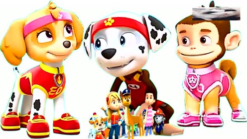 趣味英文儿歌动画:汪汪队狗狗成员集合咯