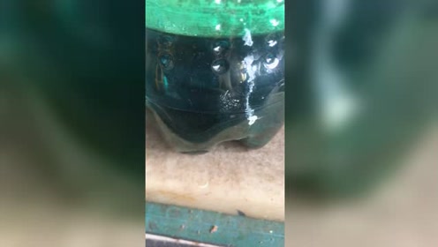 硫酸铜结晶 腾讯视频