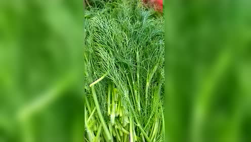 茴香豆的味道人人赞不绝口喔,想吃的免费哟