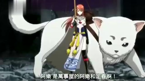 银魂神乐 腾讯视频