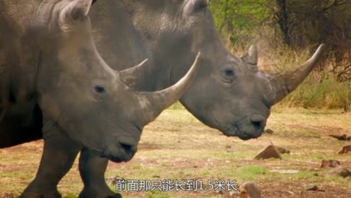 致命凶物 腾讯视频