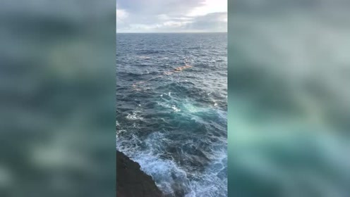海景色 腾讯视频